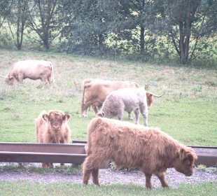 Schullandheim Reibitz