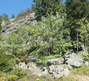 Wanderung Kleiner Arber