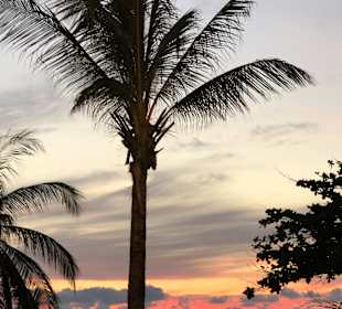 Strand Karon