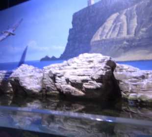 National Aquarium Malta