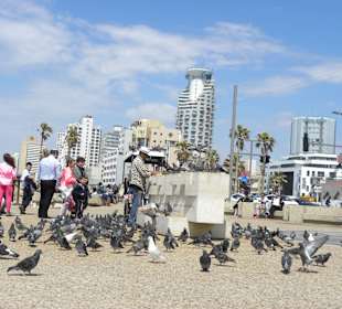 Tel Aviv beach 3