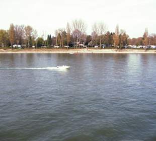Rhein-Schifffahrt mit der Köln - Düsseldorfer