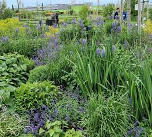 Landschaft Gartenausstellung