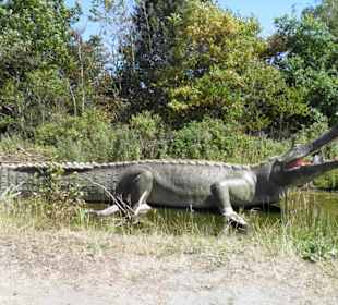 Dinopark.