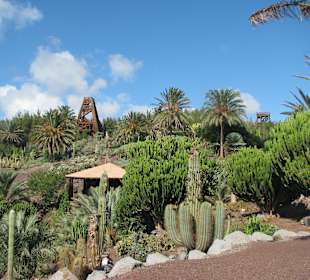 Jardin Botanico de Cactus im Oasispark