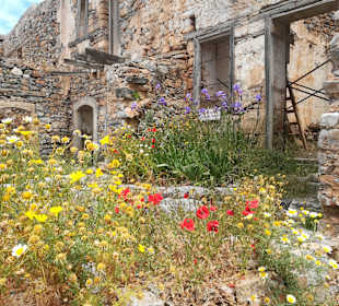 Insel Spinalonga / Kalidonia