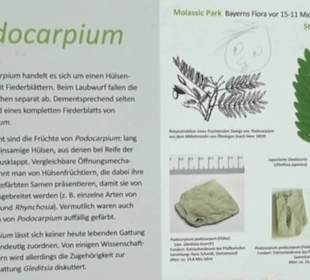 Botanischer Garten München