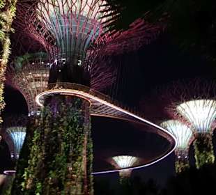 Supertrees Singapur