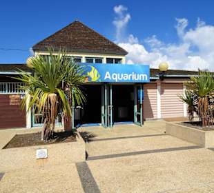 Außenansicht des Aquariums 