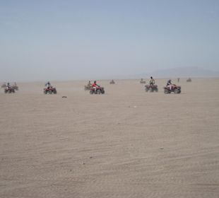 Quad Tour