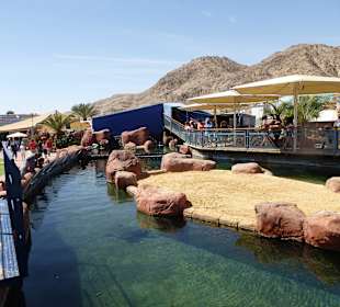 Außenbecken der Haie