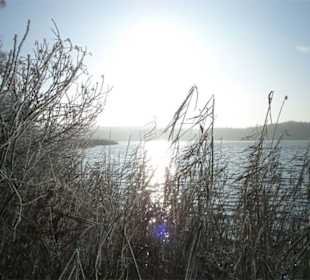 Gepudert: Das Ufer des Kölpinsees