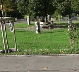 Stadtrundgang Tettnang