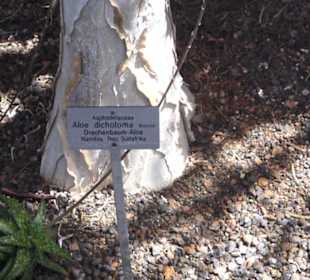 Botanischer Garten der Universität Zürich