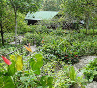 Poring Hot Springs - Schmetterlingsgarten