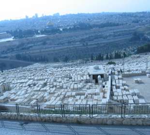 Widok z góry oliwnej