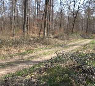 Geologischer Lehrpfad Kirnbachtal