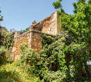 Bewachsene Hausruine in Chania