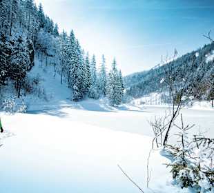 Schneeschuhwanderungen vor der Haustür