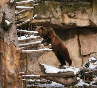 Alpenzoo