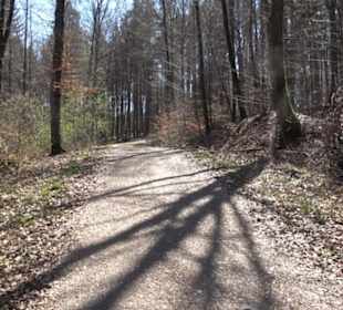 Waldkulturerbe Neuweiler Viehweide