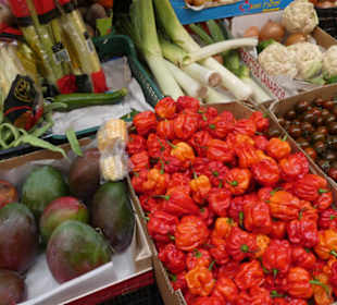 Unterwegs auf dem schönen Markt von Santa Cruz