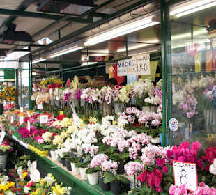 Blumenmarkt in Bozen