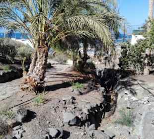 Der Weg zum Hafen den man auch wieder zurück muß!