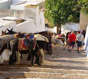 11.Tag Santorin Eselstation