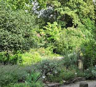 Rundgang durch den Botanischen Garten