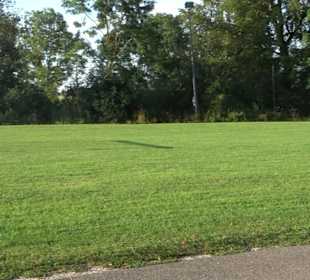 Albstadion