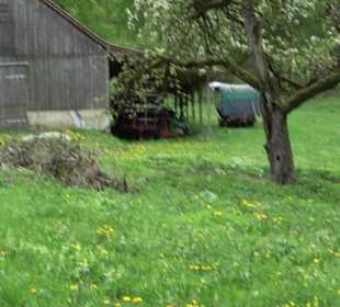 Wandertour durchs Reissenbachtal Oberhausen