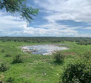 Etosha Natur Park