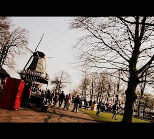 Windmill in Keukenhof