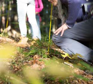 Wandern Oberstaufen