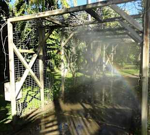 Erfrischendes Nebeltor im Botanischen Garten