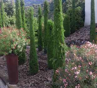 Park Schloss Trauttmansdorff