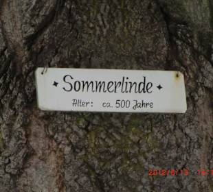 Eindrücke entlang des Werraradwegs