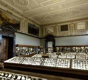 Naturhistorisches Museum