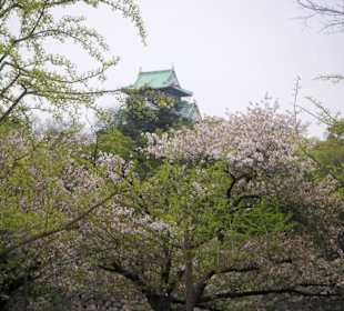 Osaka Castle