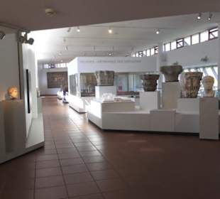 Rheinisches Landesmuseum 