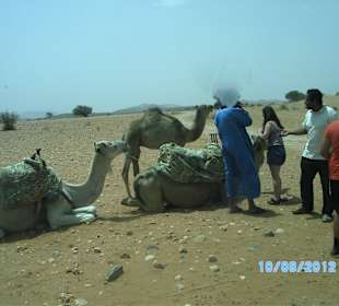 Kleine Sahara, Kamelritt