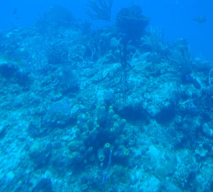 "Äusserst spannend "