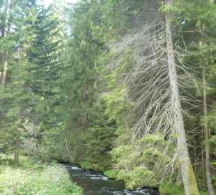 Von Bayerisch Eisenstein nach Ludwigsthal