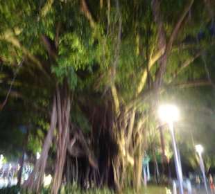 Cairns