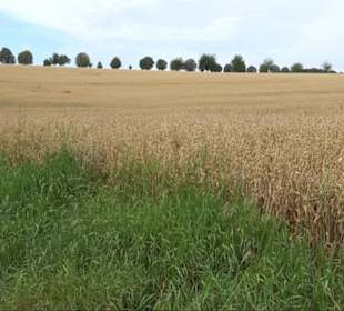 Sonnenaufgangs-Rundwanderung Rübgarten