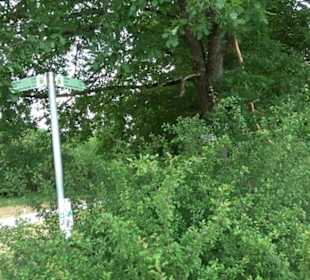 Premiumwanderweg "hochgehackert"