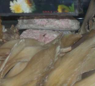 Haifischflossen zu verkaufen