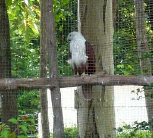 Auf der Minigolfanlage