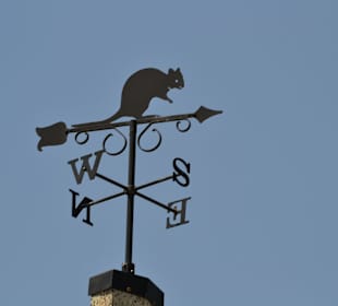 Rottnest Island